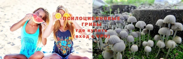 тгк Нефтекумск